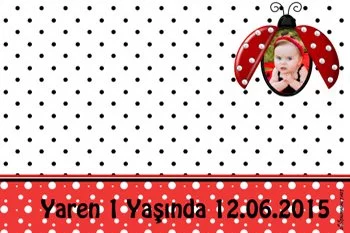 Uğur Böceği Temalı Doğum Günü Konsepti