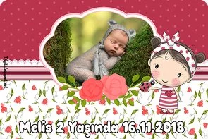 Uğur Böceği ve Çilek Kız Temalı Doğum Günü Konsepti