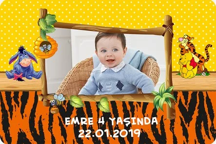 Winnie The Pooh 2 Temalı Doğum Günü Konsepti