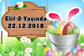 Yumurtalı Tavşan Temalı Doğum Günü Konsepti