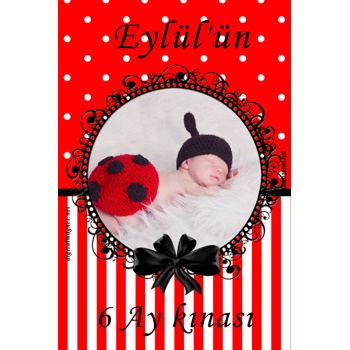 6 Ay Kınası Kız Bebek Mevlüdü Magnet