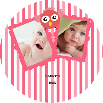 İki Resimli Pembe Baykuş Temalı Akrilik Daire Magnet