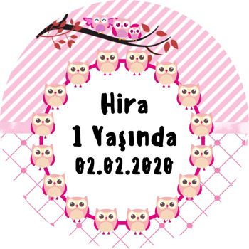 Pembe Baykuş Temalı Akrilik Daire Magnet