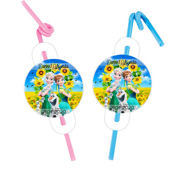 Anna Ve Elsa Temalı Pipet ve Kartı