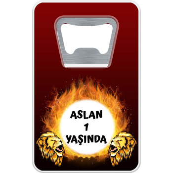 Aslan ile Ateşli Çerçeve Temalı Dikdörtgen Magnet Açacak