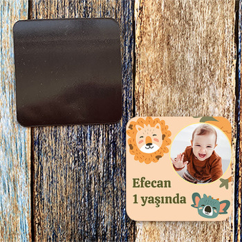 Aslan ile Koala Temalı Kare Magnet