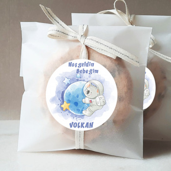 Astronot Koala Temalı Sticker