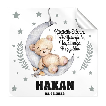Ayda Uyuyan Ayıcık ve Uçağı ile Yıldızlar Temalı Kare Etiket