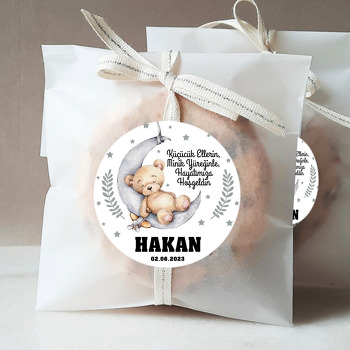Ayda Uyuyan Ayıcık ve Uçağı ile Yıldızlar Temalı Sticker