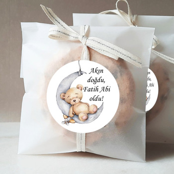 Ayda Uyuyan Ayıcık ve Uçağı Temalı Sticker