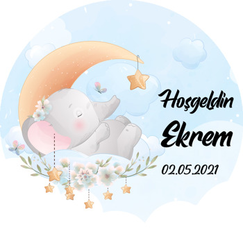 Ayda Uyuyan Sevimli Fil Temalı Akrilik Daire Magnet