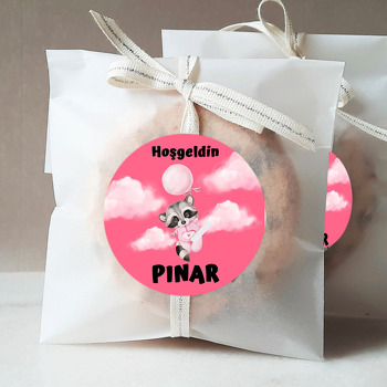 Bebek Rakun ile Pembe Bulutlar Temalı Sticker