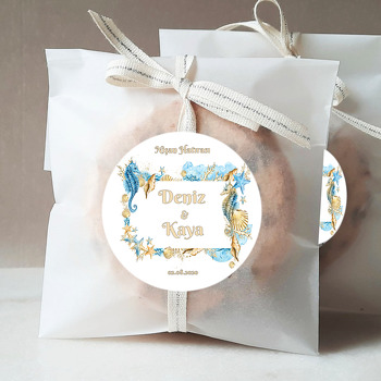 Beyaz Fonda Deniz Kabukları Kare Çerçeve Temalı Sticker