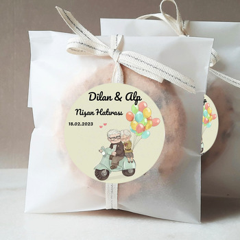 Carl ile Ellie Balonlarla Motorda Temalı Sticker