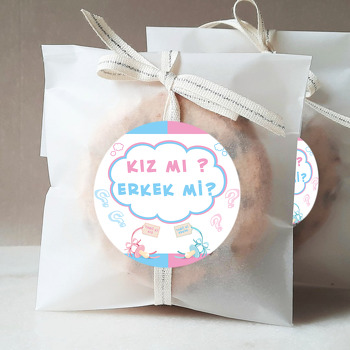 Cinsiyet Partisi Beyaz Fon Temalı Sticker