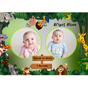 Diego Safari Temalı Doğum Günü Amerikan Servis