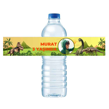 Dinozor Dünyası Temalı Su Şişesi Sticker