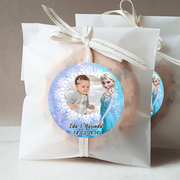 Elsa Temalı Resimli Sticker