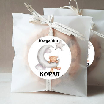Gri Ay ve Yıldız ile Ayıcık Temalı Sticker