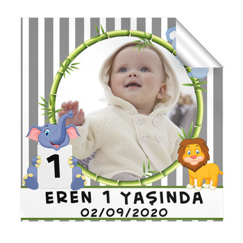 Gri Safari Temalı Doğum Günü  Kare Sticker
