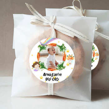 Havuç Çerçeveli Diş Temalı Resimli Sticker