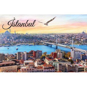 İstanbul Boğazında Bir Martı Temalı Magnet