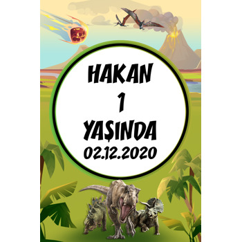 Jurassic World Dinozorlar Temalı Doğum Günü Afiş