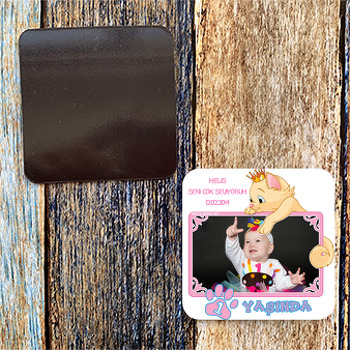 Kedi Çerçeveli Magnet