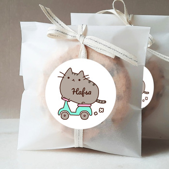 Kedi Pusheen ile Scooter Temalı Sticker