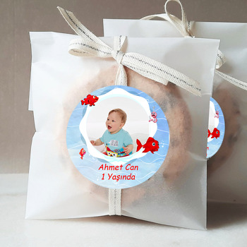 Kırmızı Balık Temalı Resimli Sticker