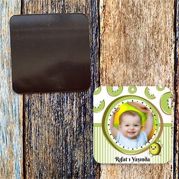 Kivi Temalı Resimli Kare Magnet