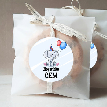Mavi Kırmızı Balonlu Fil Temalı Hoşgeldin Bebek Sticker