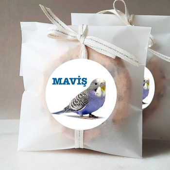 Mavi Muhabbet Kuşu Temalı Sticker