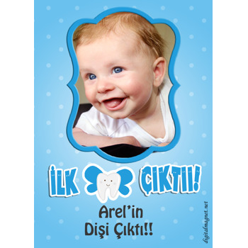 Mavili Diş Buğdayı Magnet