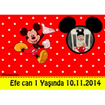 Mickey Mouse 2 Temalı Doğum Günü Amerikan Servis