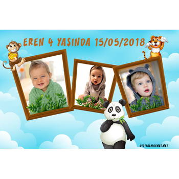 Panda 3 Fotoğralı Temalı Afiş