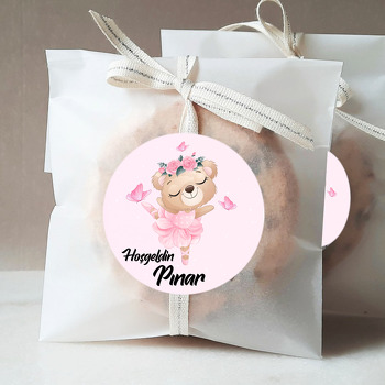 Pembe Balerin Ayıcık Temalı Sticker