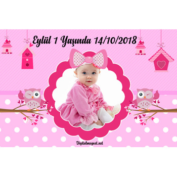 Pembe Baykuşlar 2 Temalı Doğum Günü Magnet