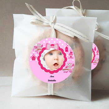 Pembe Baykuşlar 2 Temalı Resimli Sticker
