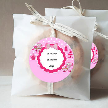 Pembe Baykuşlar 2 Temalı Sticker