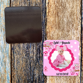 Pembe Baykuşlar Temalı 2 Kare Magnet