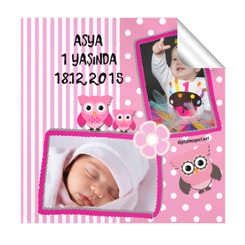 Pembe Baykuşlar Temalı  Kare Etiket