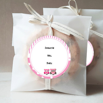 Pembe Baykuşlar Temalı Sticker