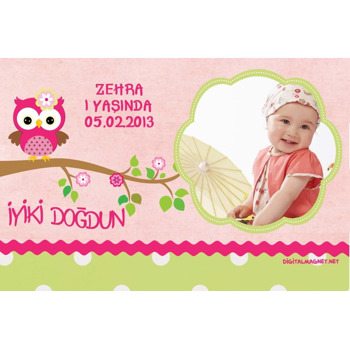 Pembe Baykuşlu Magnet