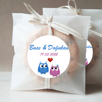 Pembe ile Mavi Kalpli Baykuş Temalı Sticker