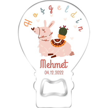 Pembe Lama ile Hoşgeldin Temalı Balon Magnet Açacak