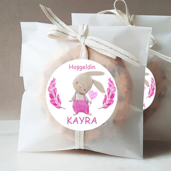 Pembe Tulumlu Tavşan Temalı Sticker