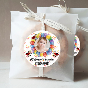 Renkli Balonlar ve Uğur Böceği Temalı Resimli Sticker