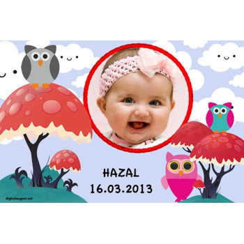 Renkli Baykuş Temalı Magnet