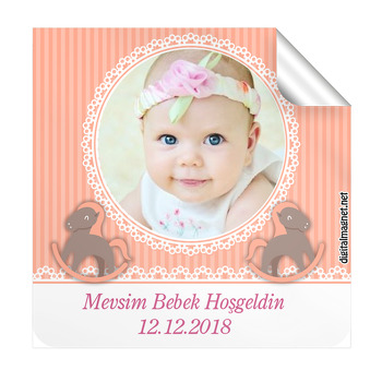 Sevimli Atlar Temalı Hoşgeldin Bebek  Kare Etiketi
